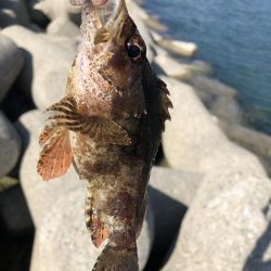 エギングと穴釣り