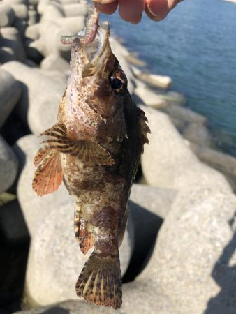 エギングと穴釣り