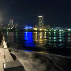 ドラゴンゲット