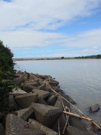 フラットフィッシュゲーム