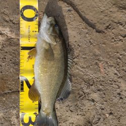 晩秋川バス釣行