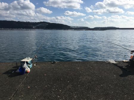 シマアジ2匹ほか