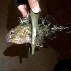 仕事終わり四目ライトゲーム