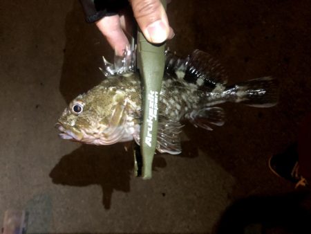 仕事終わり四目ライトゲーム