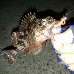 先週のリベンジ