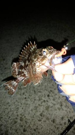 先週のリベンジ