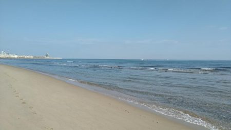 初フラットフィシュ