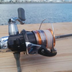 釣りデビュー　6日目