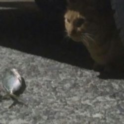 釣りデビュー 9日目