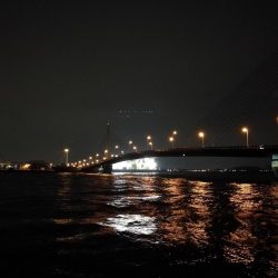 (2020/11/28 南港ヘチ釣り 真チヌ33㎝ キビレチヌ45.5㎝ 釣果有り)