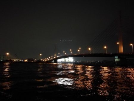 (2020/11/28 南港ヘチ釣り 真チヌ33㎝ キビレチヌ45.5㎝ 釣果有り)