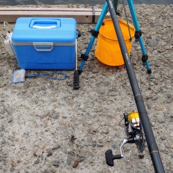 最後にようやくハネ