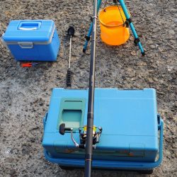 ハネの代わりにアコウ