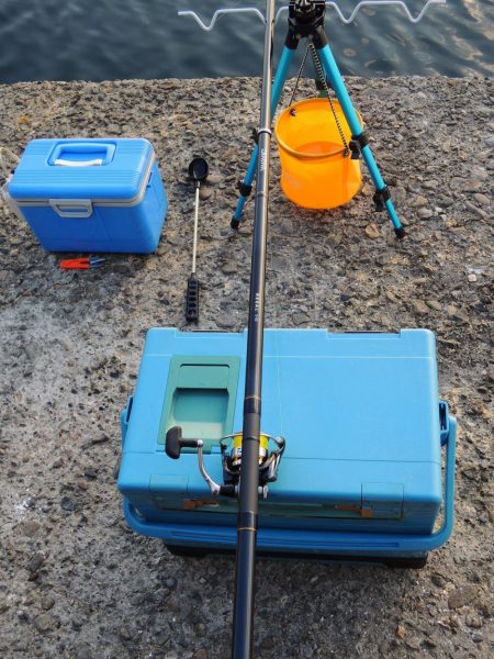 ハネの代わりにアコウ