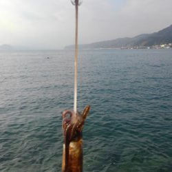 ラッキーなのか❓