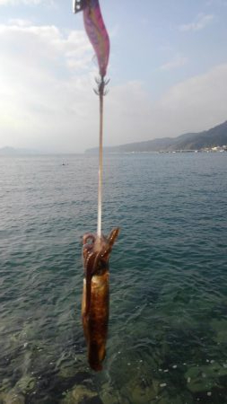 ラッキーなのか❓