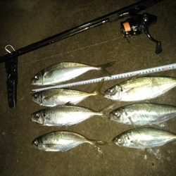 (尺アジ)フロートゲーム