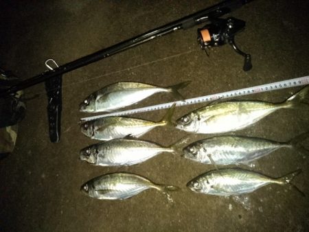 (尺アジ)フロートゲーム