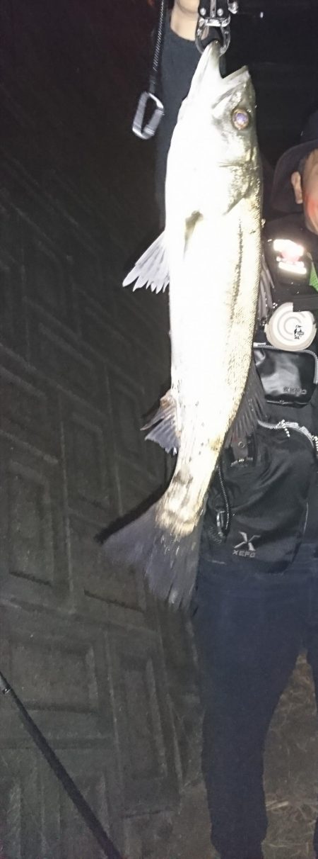 秋のハイシーズン