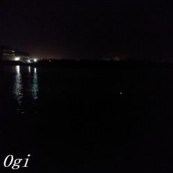 タチウオ不在もアナゴはいる!