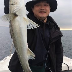 めだか屋 釣果