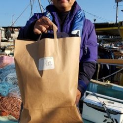 遊漁船 ニライカナイ 釣果