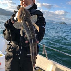 Magic（マジック） 釣果