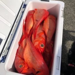 番匠高宮丸 釣果