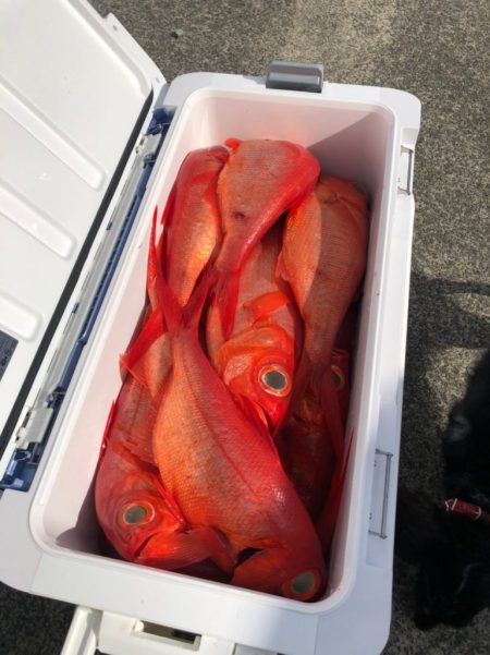 番匠高宮丸 釣果