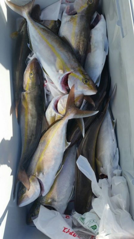 第五慶門丸 釣果