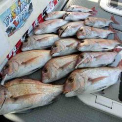 遊漁船 セトマリン 釣果