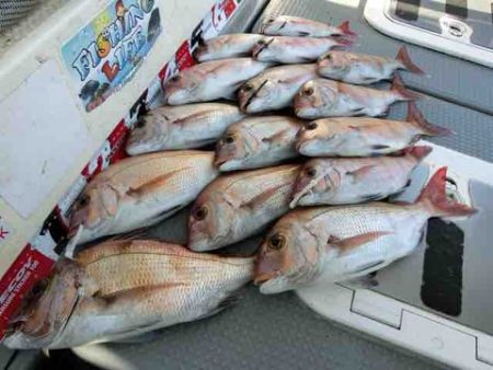 遊漁船 セトマリン 釣果