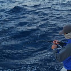 第五慶門丸 釣果