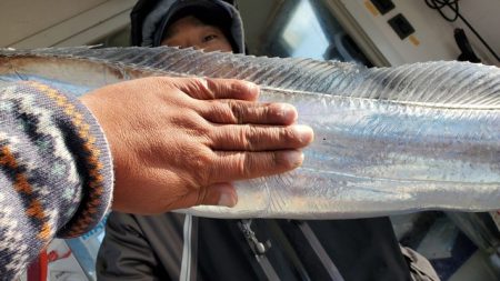 遊漁船 ニライカナイ 釣果