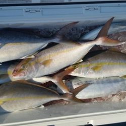 第五慶門丸 釣果