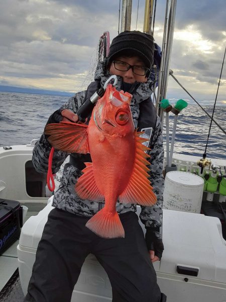 海峰 釣果