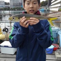 あい川丸 釣果