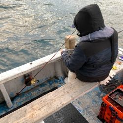 幸吉丸 釣果