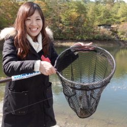 フィッシングレイクたかみや 釣果