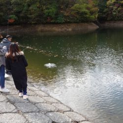 フィッシングレイクたかみや 釣果