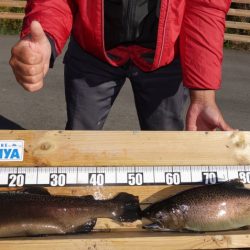 フィッシングレイクたかみや 釣果