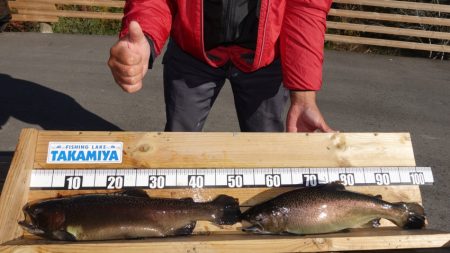 フィッシングレイクたかみや 釣果
