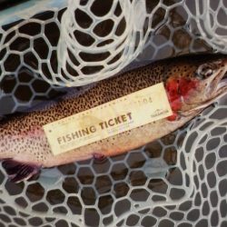 フィッシングレイクたかみや 釣果