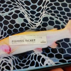 フィッシングレイクたかみや 釣果