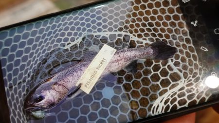 フィッシングレイクたかみや 釣果