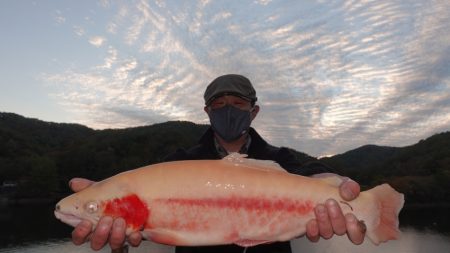 フィッシングレイクたかみや 釣果