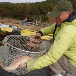 フィッシングレイクたかみや 釣果