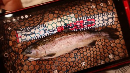 フィッシングレイクたかみや 釣果