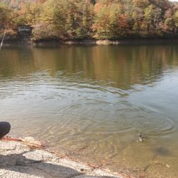 フィッシングレイクたかみや 釣果