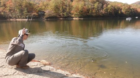 フィッシングレイクたかみや 釣果